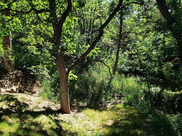 Ulkoalueet