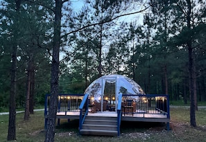A cozy escape awaits inside this enchanting dome—perfect for stargazing, relaxing, and reconnecting with nature under a canopy of trees.