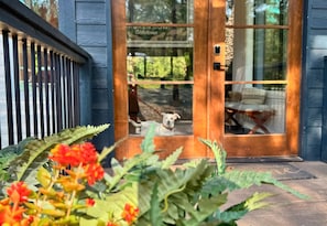 This cabin is as inviting as it looks—ready for cozy, pet-friendly stays where every member of the family feels at home.