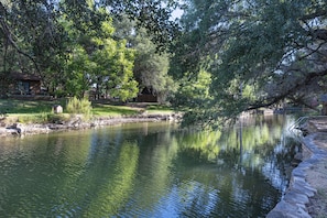 Calm waters directly off  dock great for fishing, floating, kayaking, swimming