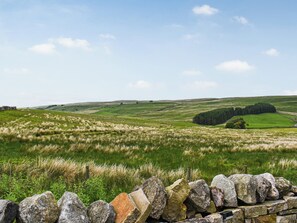 View | The Drey - The Moorcock Drey, Hawes