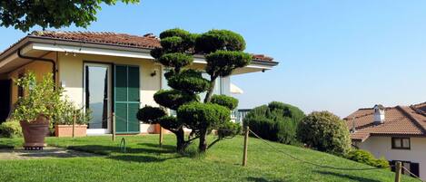 Sky, Plant, Window, Building, Tree, House, Land Lot, Grass, Natural Landscape, Landscape