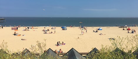 beach opposite the apartment