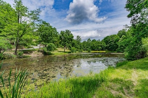 Community pond near the cabin