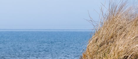 Spiaggia