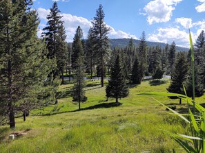 View of Clearwater River from house