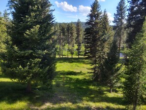 View of Clearwater River flowing by below the house.