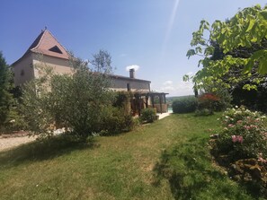 Image 2