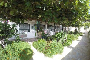 Garden [summer]
