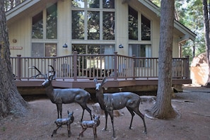 Pinecone Cottage