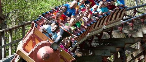 A Silver Dollar City roller coaster ride is not for the faint of heart.