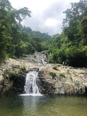 Área da propriedade
