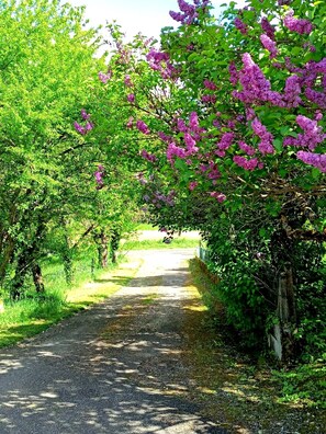 Boendeområde
