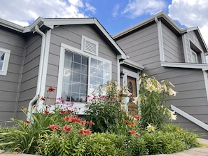 In front of our home, lots of butterfly plants