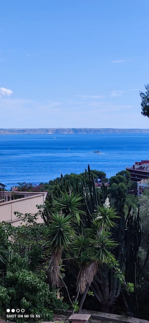 Vue sur la plage/l’océan