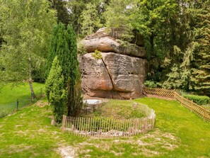 Plante, Communauté Des Plantes, Paysage Naturel, Environnement Naturel, Arbre, Herbe, Substrat Rocheux, Tronc, Arbuste, Haie