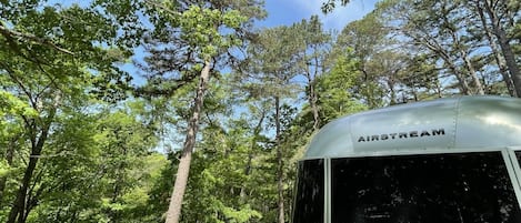 Airstream Bambi is surrounded by mature pines