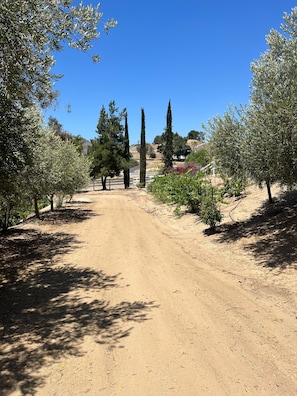 Jardines del alojamiento