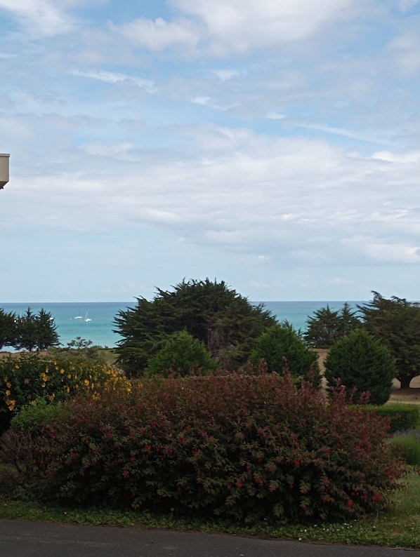 Beach/ocean view