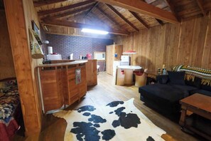 Living and kitchen area