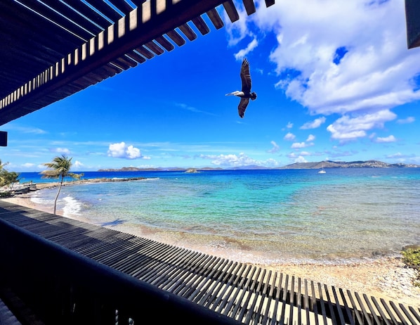 Our Actual Balcony and AMAZING OCEAN VIEW LOCATION!
