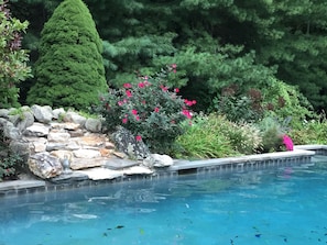 Waterfall to the pool.