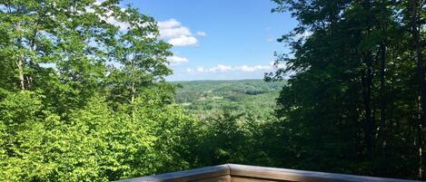 View from deck in July