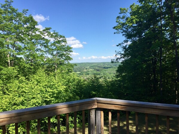 View from deck in July