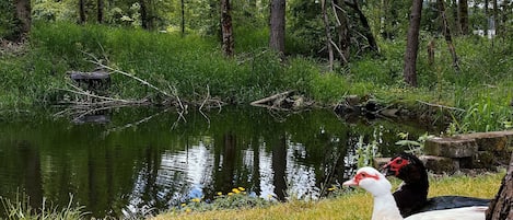 Overnattingsstedets uteområder