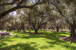 Parco della struttura