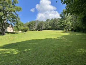 Large yard for family fun and dogs!