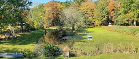 Our beautiful stream fed pond!