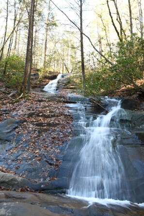 Fall Branch Falls!