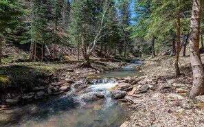 Gold bearing "Two Bit Creek" cuts directly thru the middle of the property. 