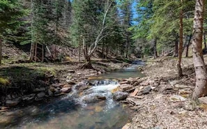Gold bearing "Two Bit Creek" cuts directly thru the middle of the property.