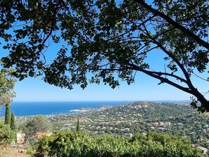 Ciel, Plante, L'Eau, Paysage Naturel, Arbre, Environnement Naturel, Herbe, Paysage, Loisir, Bois