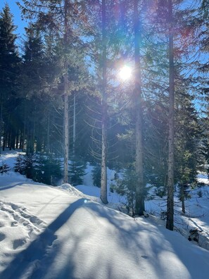 Skidåkning och snöaktiviteter