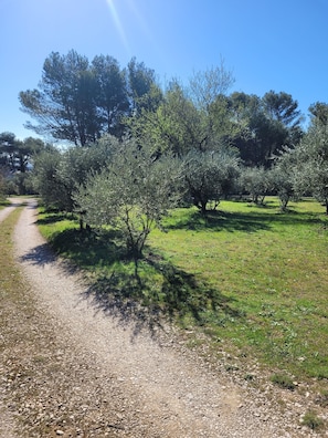 Enceinte de l’hébergement