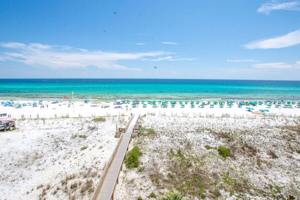 Watch the parasailers and dolphins right from your spacious balcony!