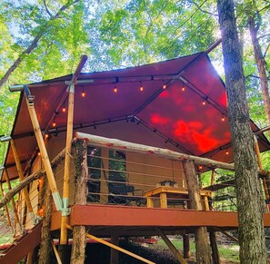 View from Fire Pit
