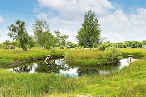 Vue sur l'eau