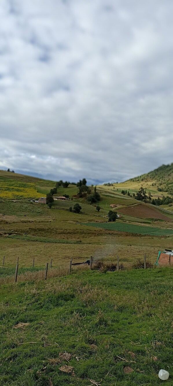 Terrain de l’hébergement 