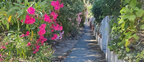 Jardines del alojamiento