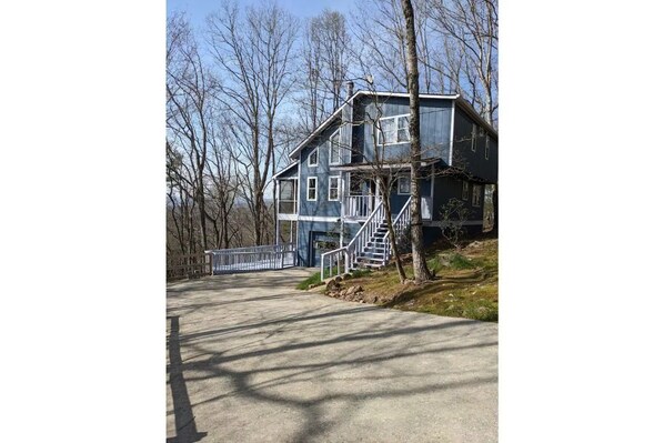 Owl Landing/ The Tree House