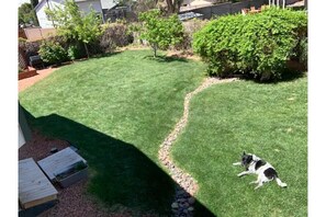 Fully fenced, pet-friendly yard (shared with our two pooches).