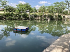 Beautiful summer at Waltonia