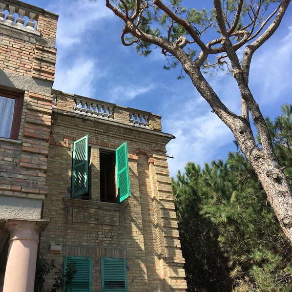 Exterior detail