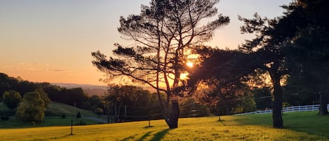 Overnatningsstedets område