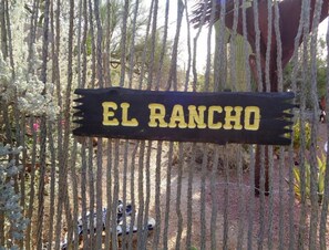 Ocotillo fence. 