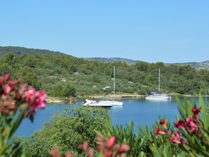 Wasser, Blume, Himmel, Pflanze, Boot, Pflanzengemeinschaft, Watercraft, Natürliche Landschaft, See, Baum